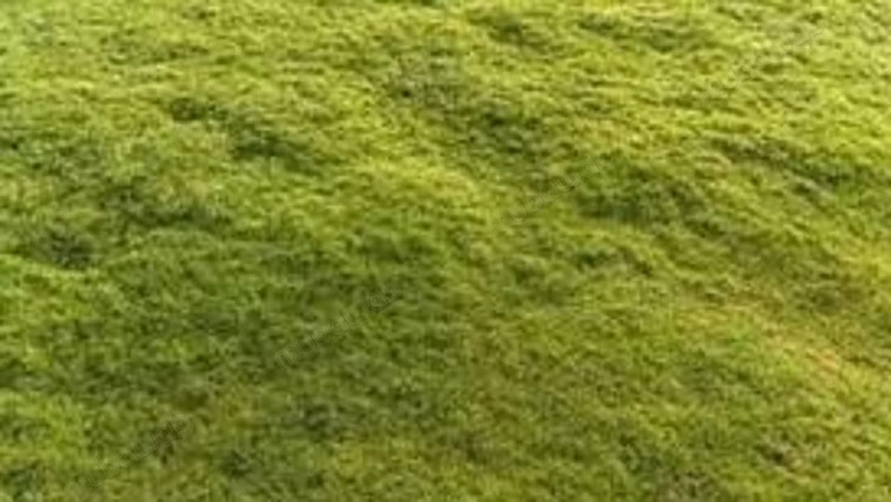 Terreno en venta Hermitage R4
