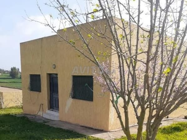Ferme Hectare titre foncier à vendre Tiflet
