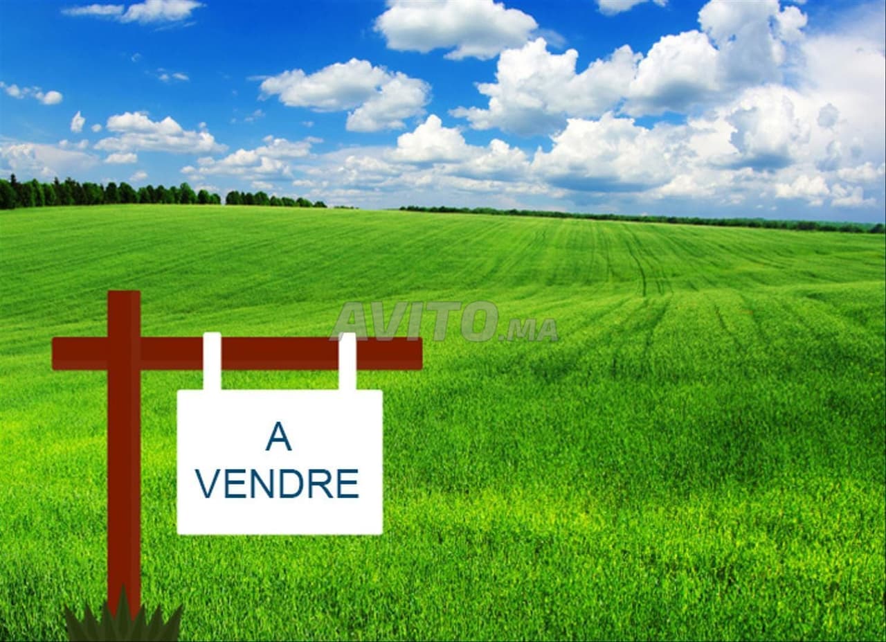 À VENDRE TERRAIN 1400 m² SOUISSI lotissement récent
