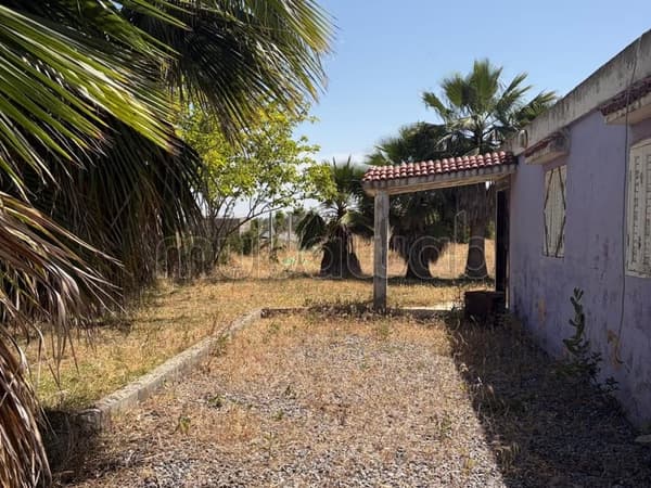 Benslimane propriété agricole vue sur Forêt
