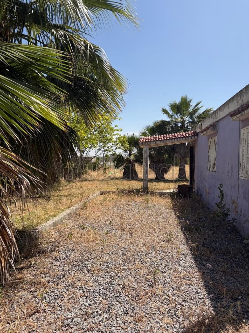 Benslimane propriété agricole vue sur Forêt