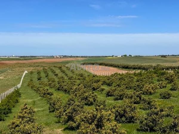 Terrain agricole et maison