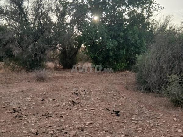 Terrain Sidi Boushab