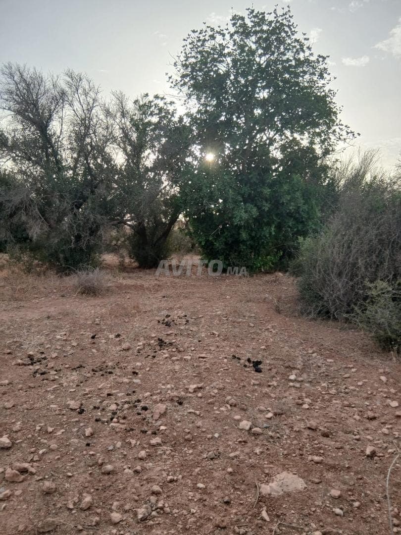 Terrain Sidi Boushab