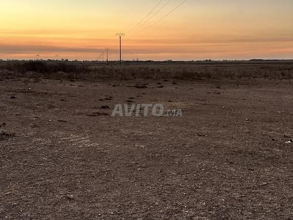 Terreno in vendita in posizione strategica – Jawala, Ouled Saleh