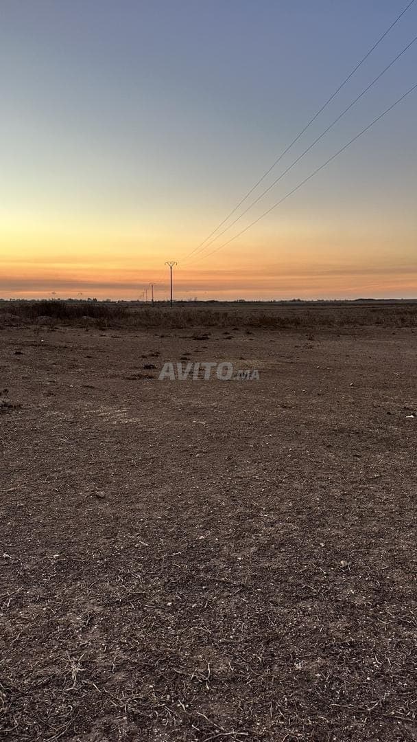 Terrain à vendre emplacement stratégique – Jawala, Ouled Saleh