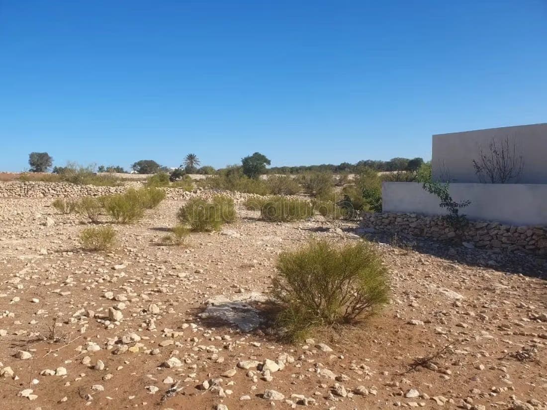 Buildable plot 1390 m² – Ghazoua, Essaouira
