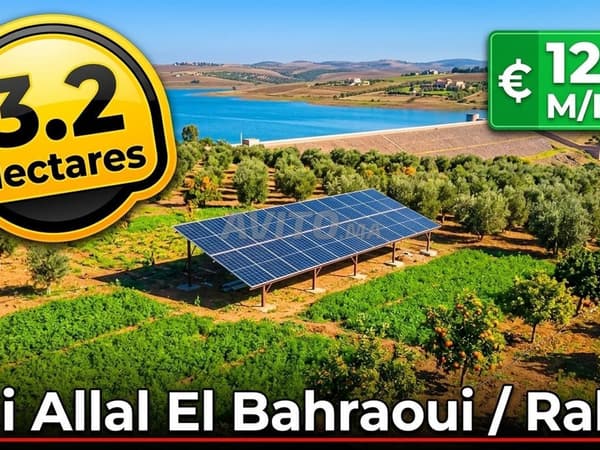 Ferme 3.2 Ha à 26km de Rabat (Sidi Allal Bahraoui)