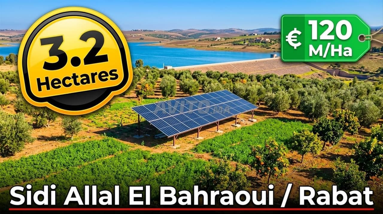 Ferme 3.2 Ha à 26km de Rabat (Sidi Allal Bahraoui)