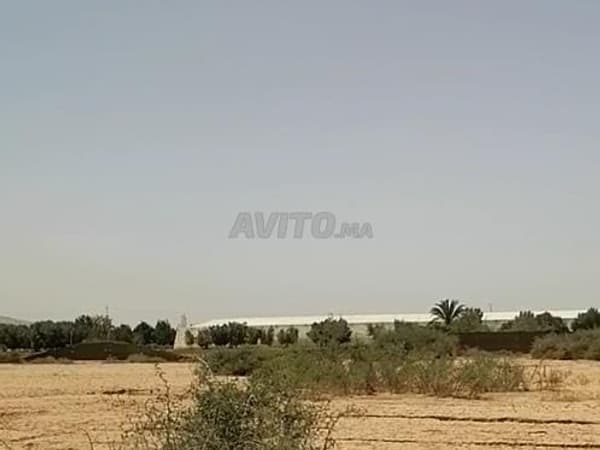 5 hectares 36 km d'Agadir