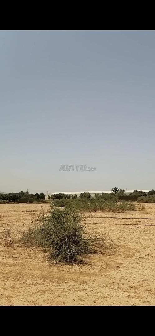 5 hectares 36 km d'Agadir