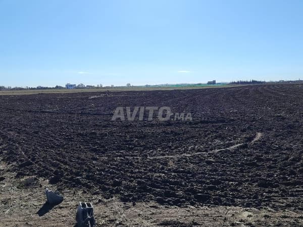 1,15 ha titolato a Benslimane ain laksab