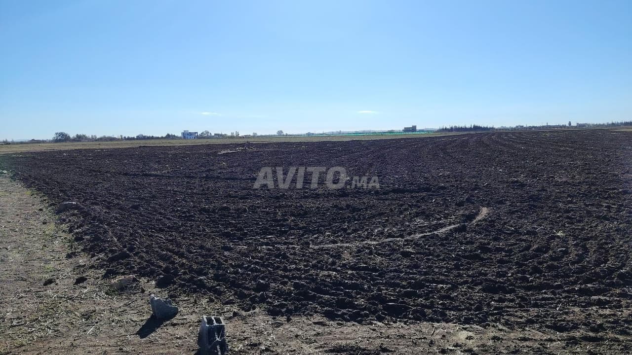 1,15 ha mit Titelurkunde in Benslimane, Ain Laksab