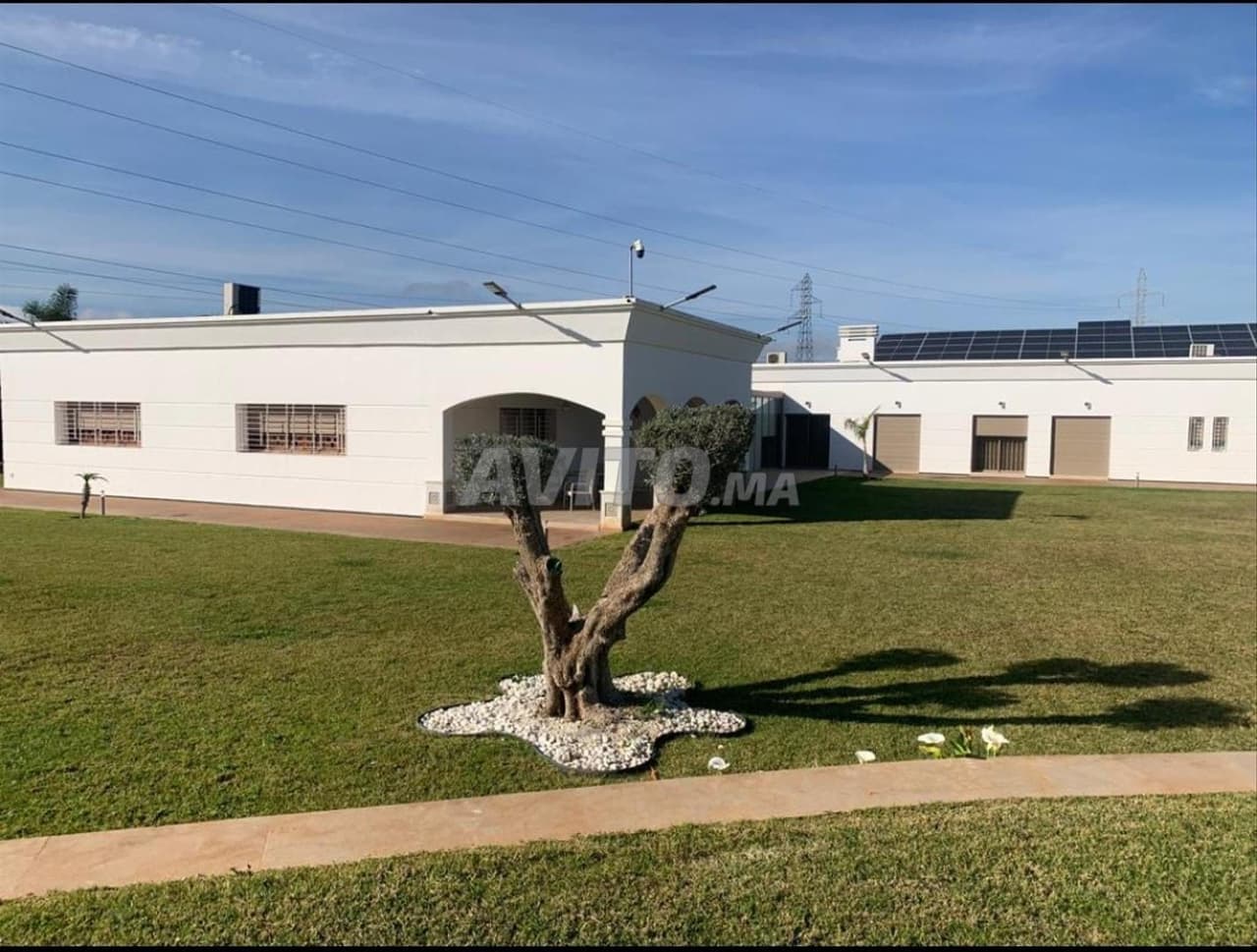 New 13000 m² villa for sale in Menzeh