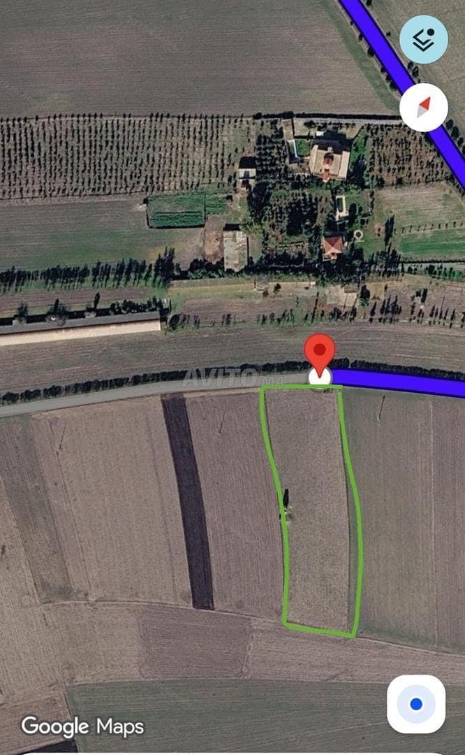 Agrarland zu verkaufen in Benslimane an der Teerstraße