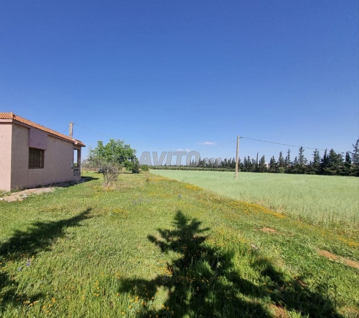 Land for sale