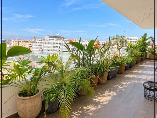 Apartamento con gran terraza en alquiler
