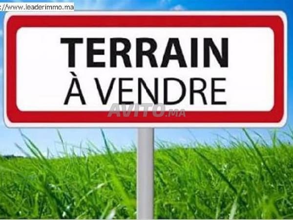 Terrain à vendre à côté de Casa Nearshore