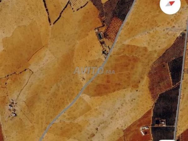 Terreno propiedad inmobiliaria