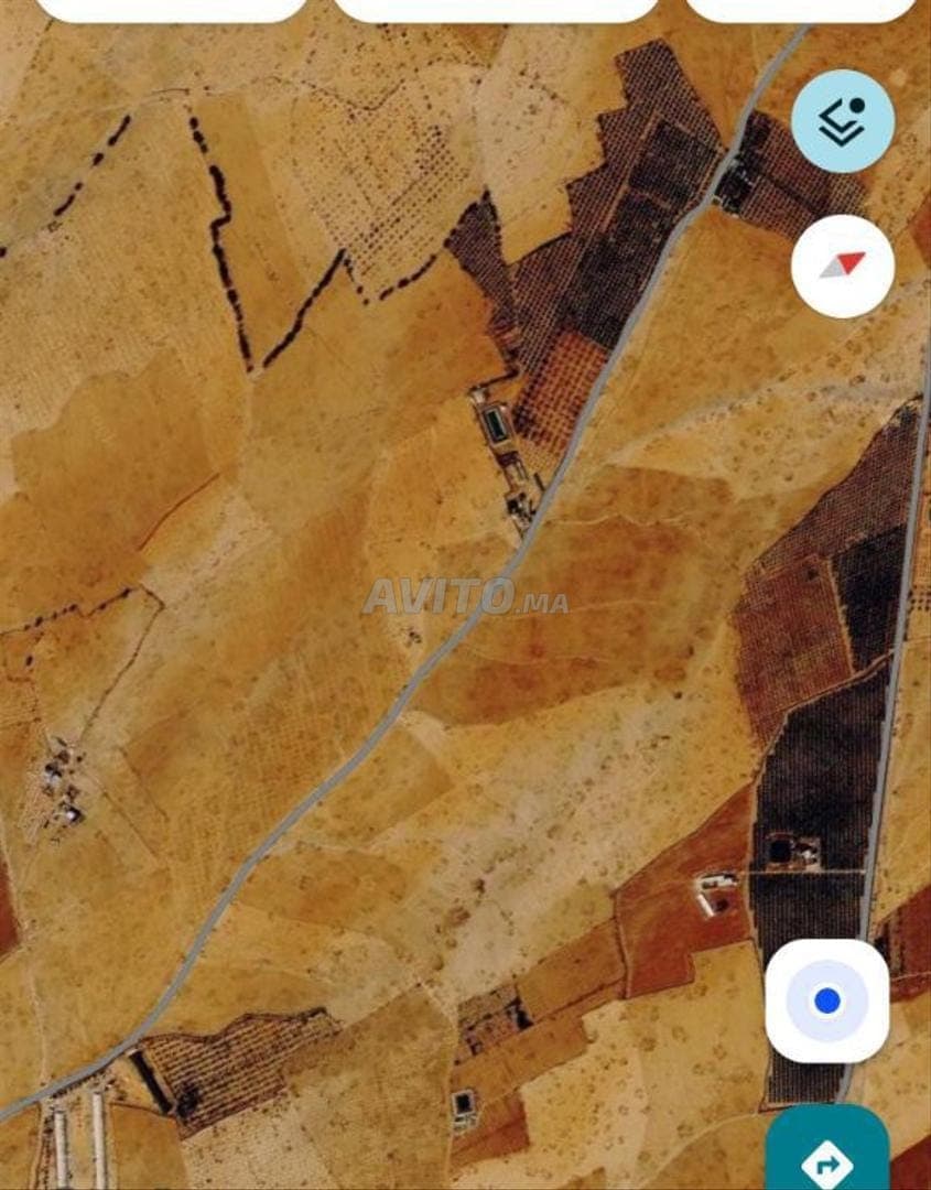 Terreno proprietà fondiaria