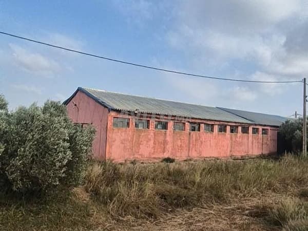 36 hectares El Jadida