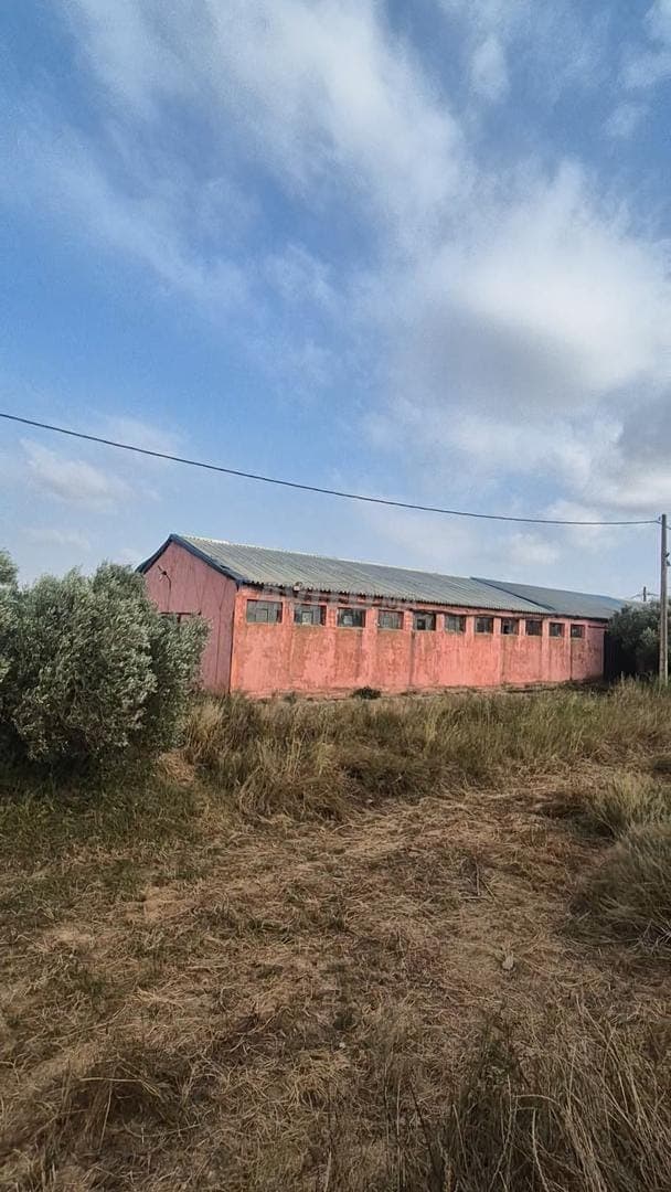 36 hectares El Jadida