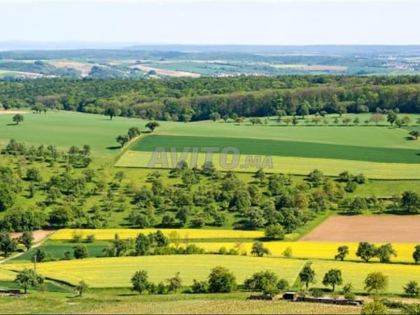 Agricultural land
