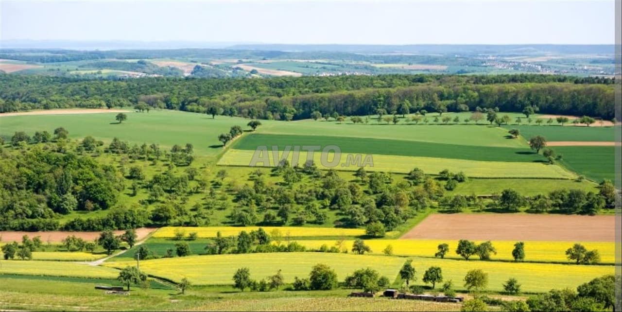 Agricultural land
