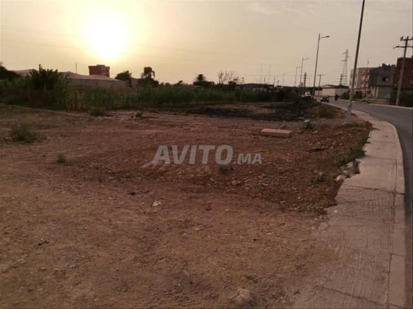 Te koop: bouwgrond in Al Qliaa 249m