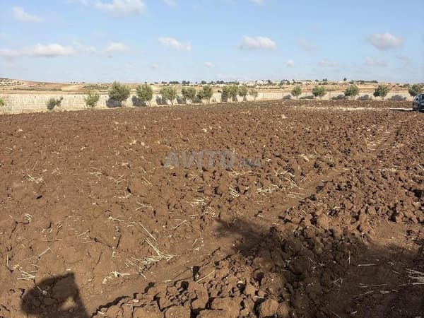 Terreno vicino a Safi in vendita