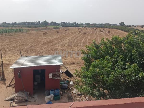 Ferme de 2 Hectares et 4 Centiares Tnine Chtouka