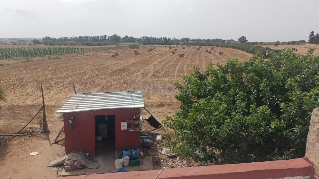 Ferme de 2 Hectares et 4 Centiares Tnine Chtouka