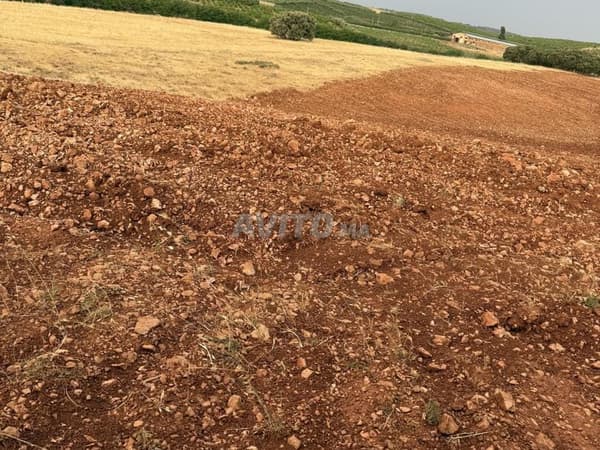 9 hectares à vendre