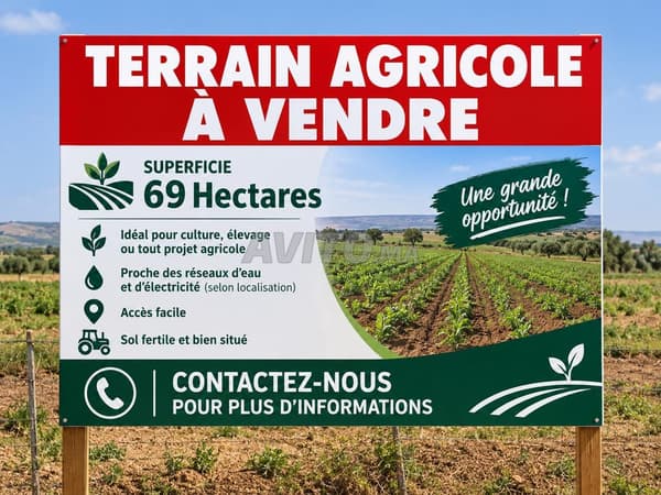 Terrain agricole à vendre Settat