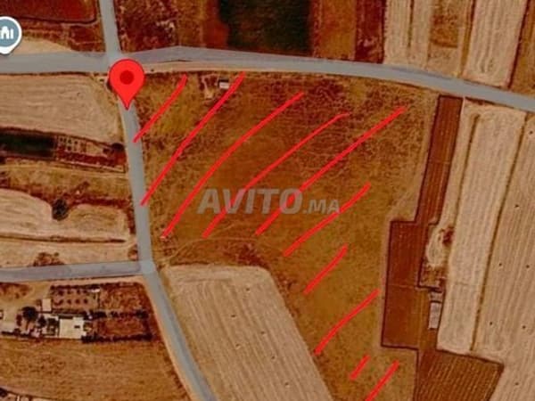 Terrain de 20 000 m² à vendre – Sidi Moussa Majdoub