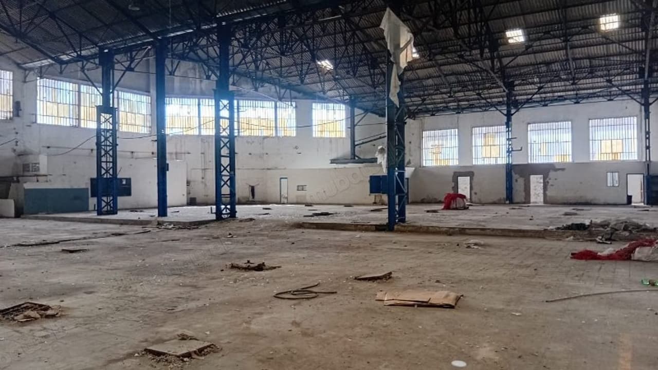 Industriële Ruimte te Huur in AIN BORJA