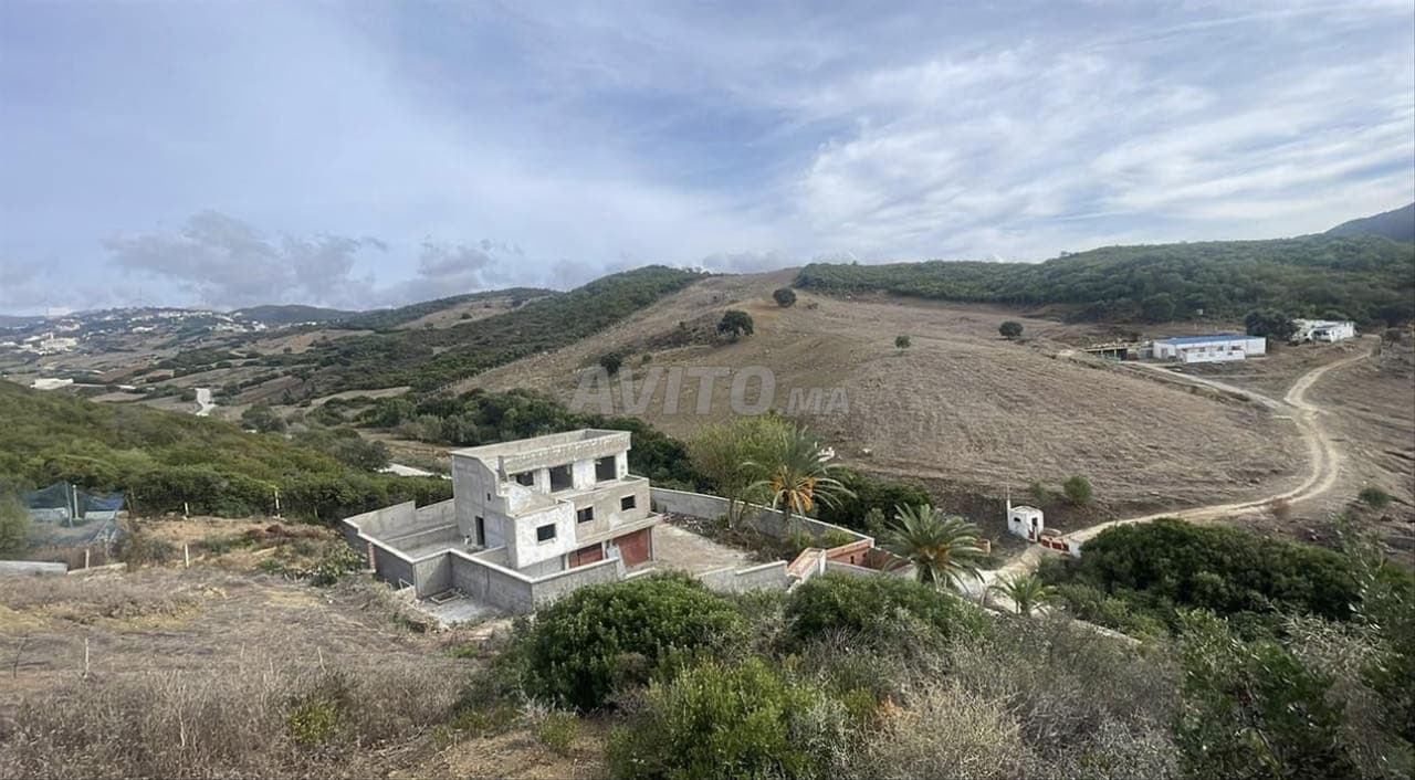 Maison avec terrain
