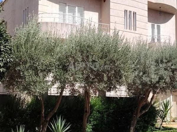 Villa Hay Riad Route Ain Chkef près l'Unica1