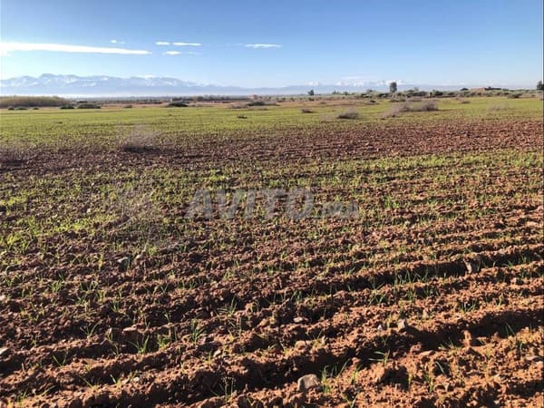 ✨ Terrain de 2.14 hectares avec vue sur l'Atlas près de Marrakech ✨