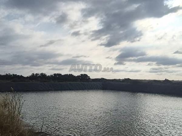 36 hectare El Jadida