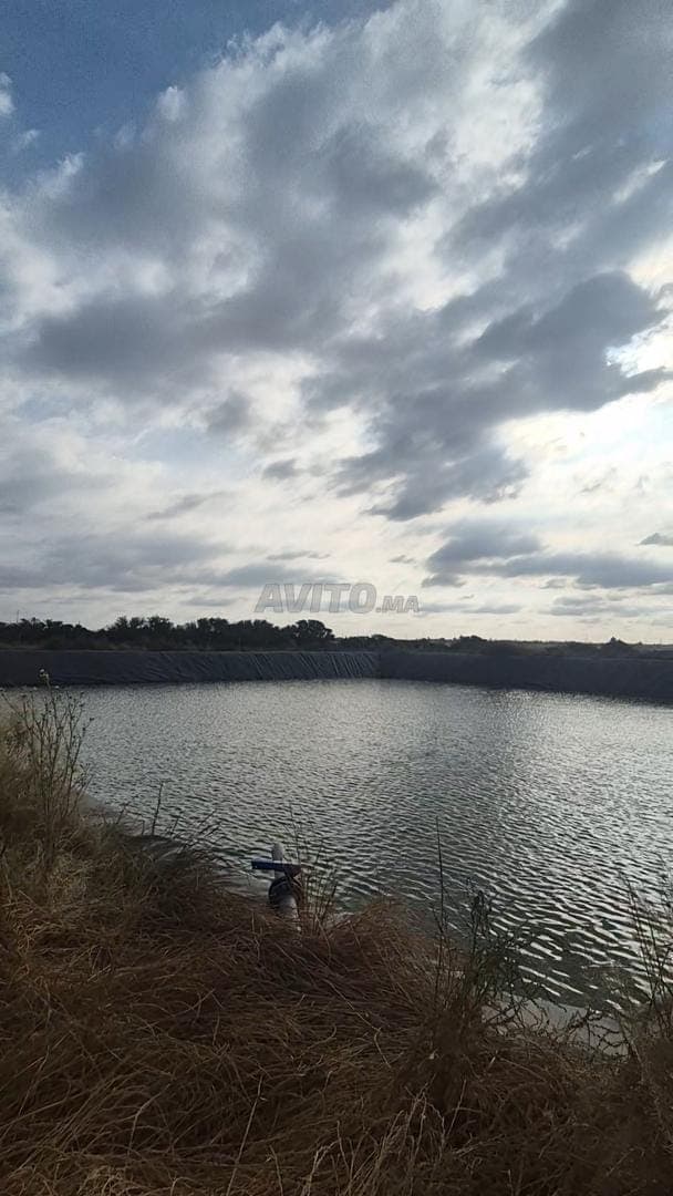 36 hectare El Jadida