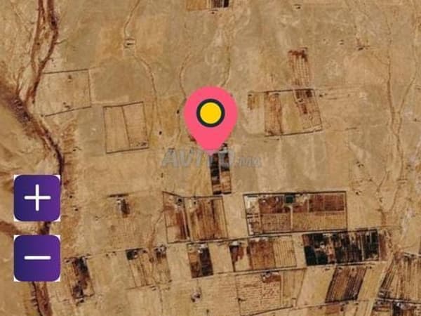 Terrain agricole un hectare