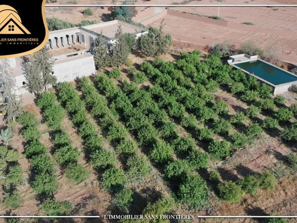 Ferme titré à Route Fès km 22, puit 117 m + système goutte à goutte, Marrakech : à vendre