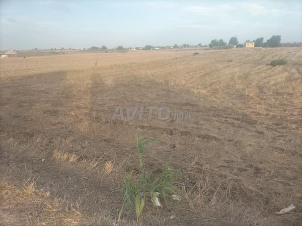 Agricultural land for a farm
