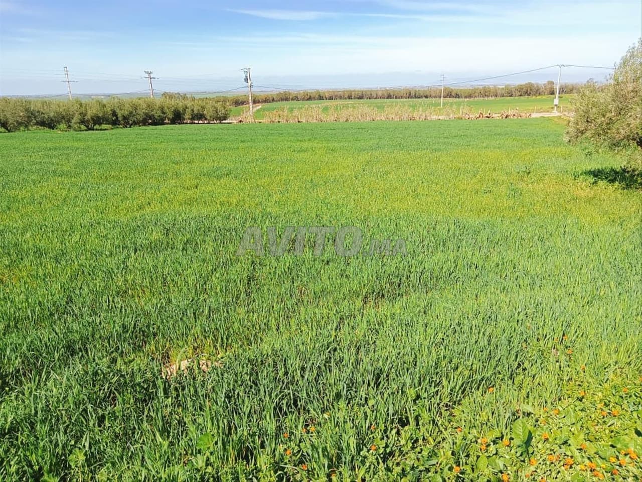 Terreno en venta