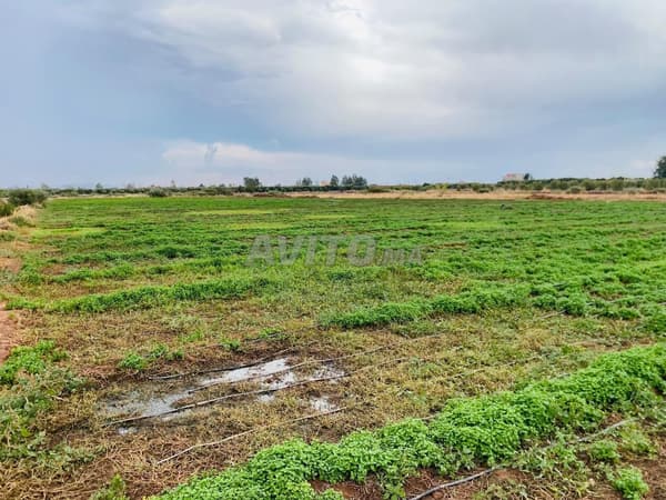 Terrain titré à vendre avec une superficie de 13900 m²