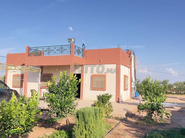 Boerderij in de omgeving van Sidi Hajjaj Ouled Farès