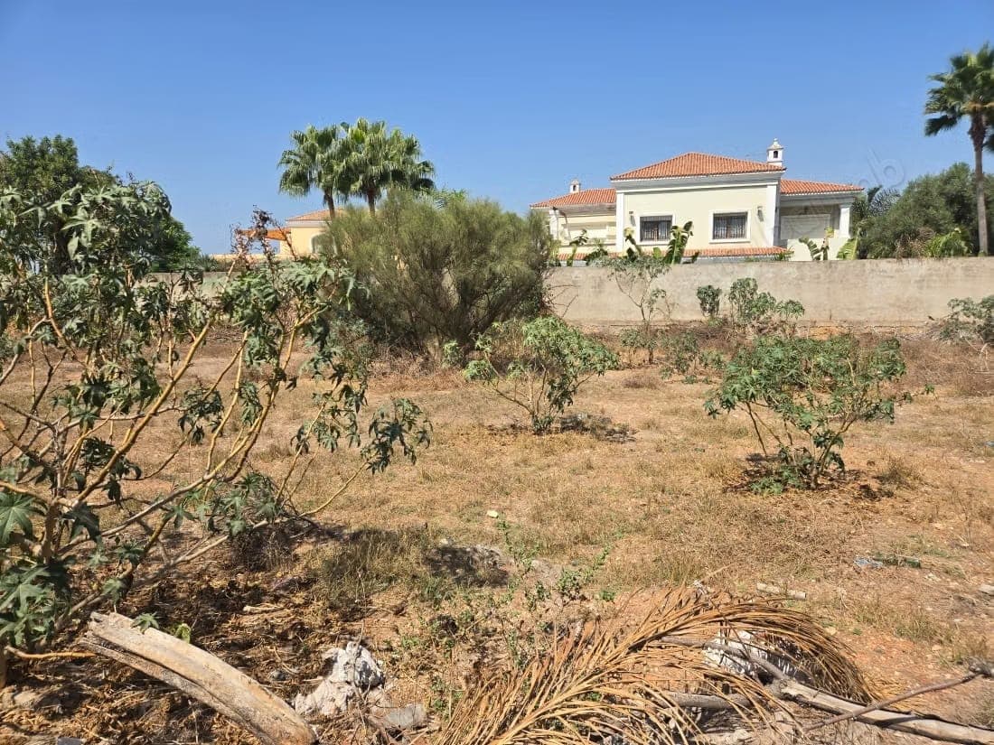 Terrain en vente à Californie. Superficie 1500 m²