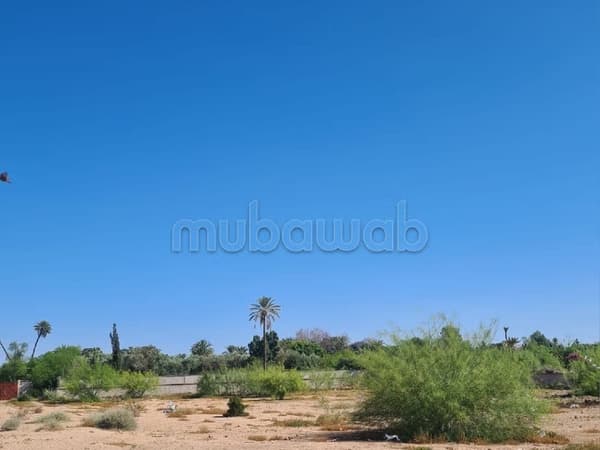Palmeraie à 5 mn du centre magnifique terrain pour une villa