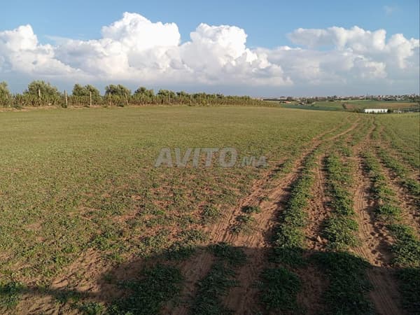 Land for sale in Tifelt overlooking the city